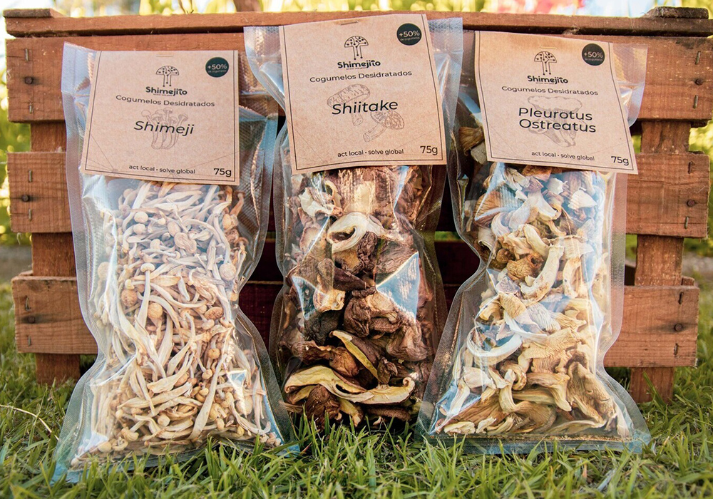 Shimejito – Mushroom Culture