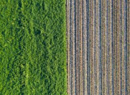 Fundo Ambiental apoia pequenas centrais de biomassa com 2 milhões de euros